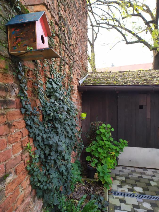 Tiny Cozy Accommodation Zagreb Eksteriør bilde